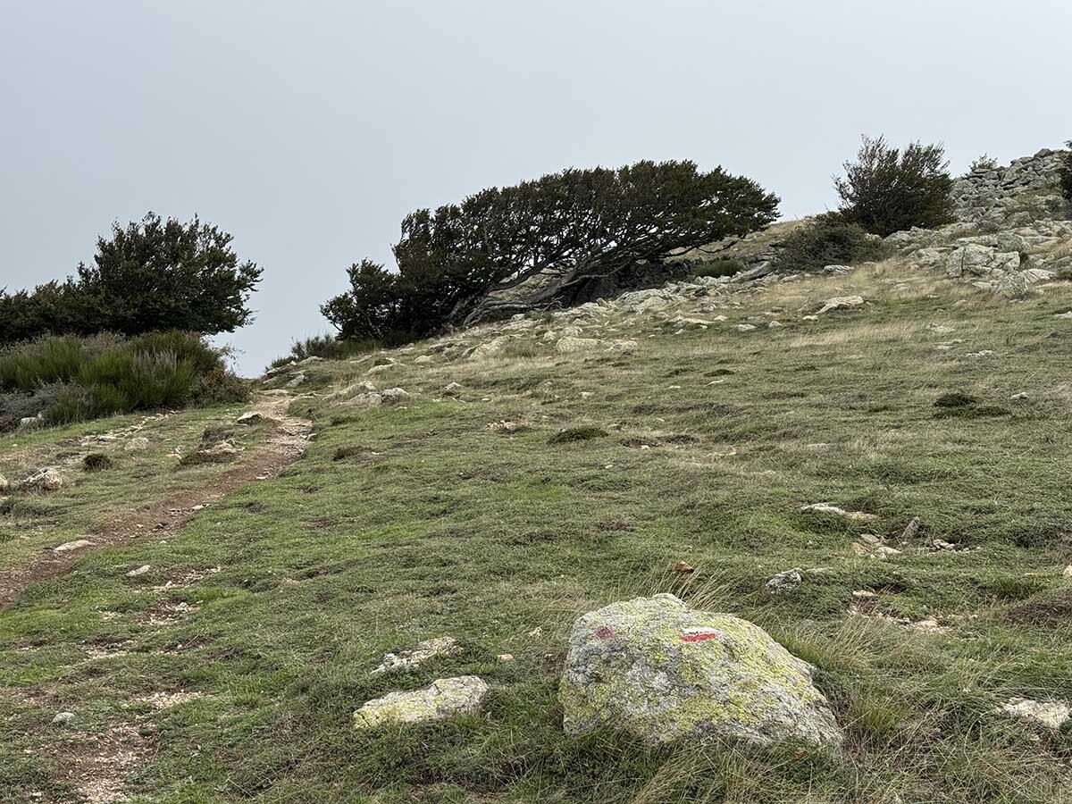 Faig%20Ajagut-serra%20albera