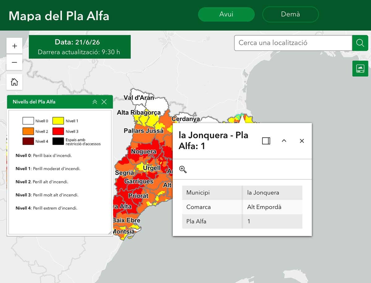a%20Jonquera-pla%20alfa%201-21062026
