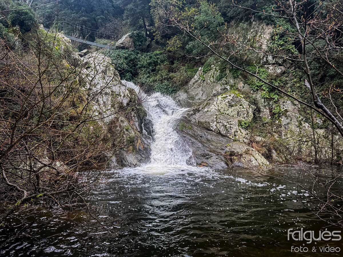 La%20Jonquera-salts%20del%20fito-fitonell-llobregat-falgues%20fotografia%281%29