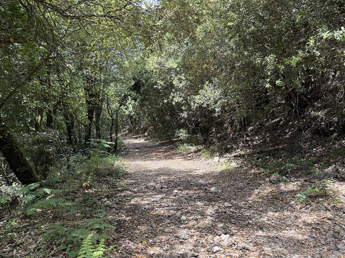 Les%20salines-bosc%20alzines-06062026