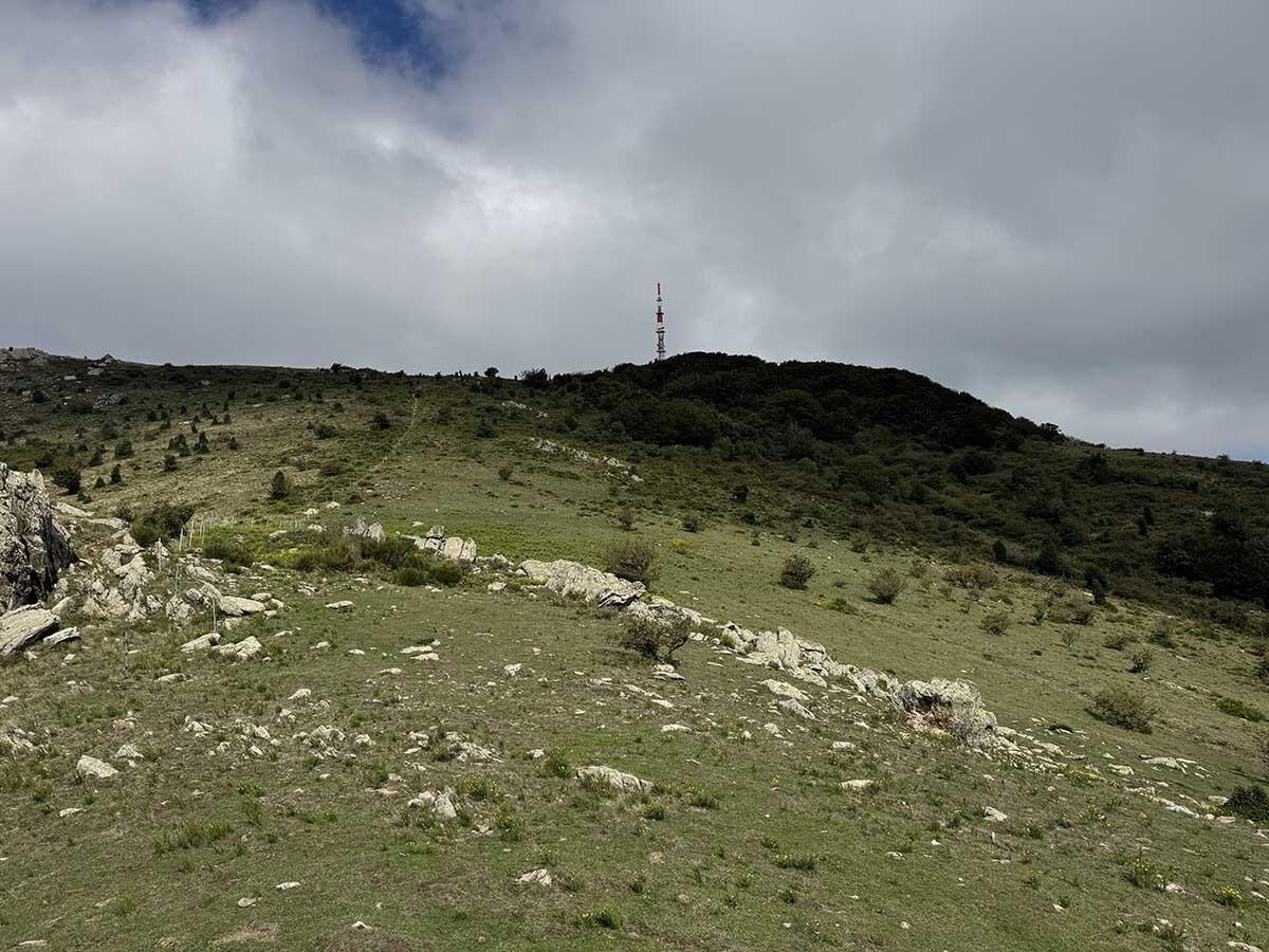 Puig%20neulos-vessant%20sud-25092025