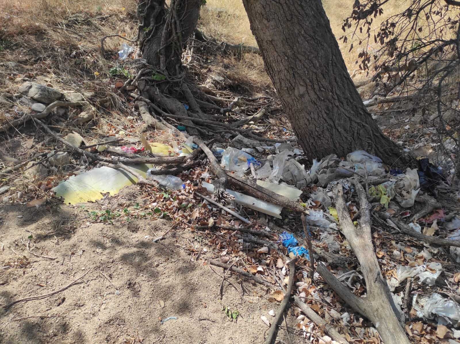 Torrent%20de%20comenera-residus-300824