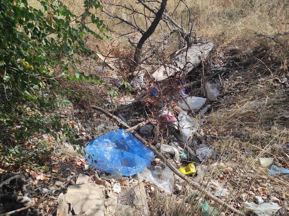 Torrent%20de%20comunera-SOS%20LJ-300824