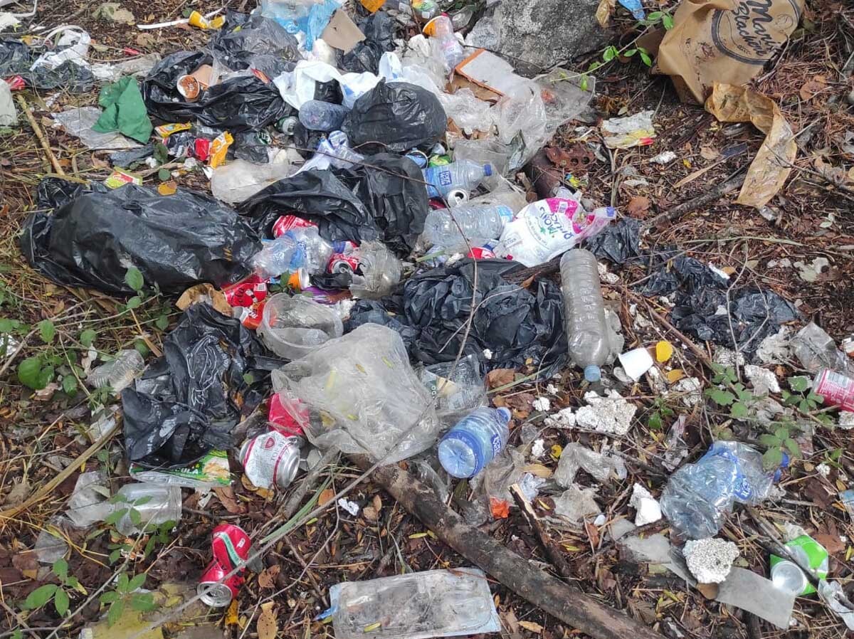 deixalles-riu%20llobregat-la%20jonquera-22092024