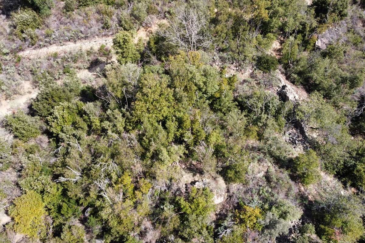 jaciment%20medieval-la%20jonquera-fortalesa-aeria-ACN