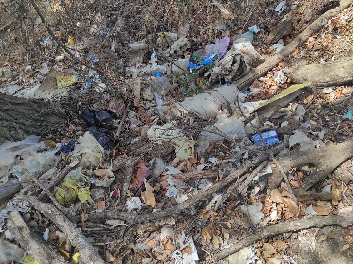 residus-tram%20torrent%20de%20comunera