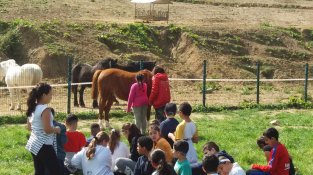 Dimarts els nens van fer tota mena d'activitats