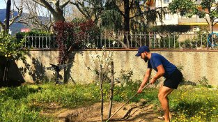 Entreteniments en periode confinament