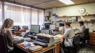 Les agències de duanes, a ple rendiment