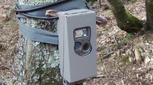 La càmera de fotomostreig