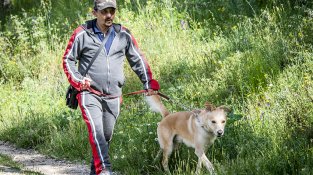 Des de dissabte es pot sortir a passejar o a fer esport de manera individual