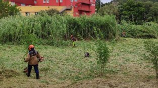 Els treballs per desbrossar la franja de protecció antiincendis, en marxa