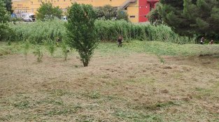 Els treballs per desbrossar la franja de protecció antiincendis, en marxa