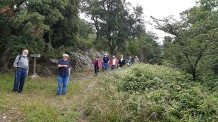 Es van dividir en dos grups per respectar la normativa sanitària