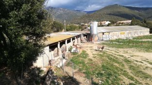 Imatge de la Granja Els Noguers. El tribunal dona la raó a un recurs de IADEN-Salvem l'Empordà .