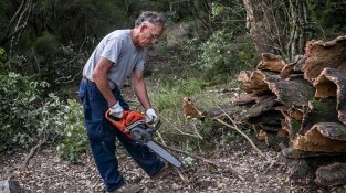 L'extracció es fa manualment, seguint una tècnica ancestral
