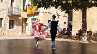 Diada Agullana