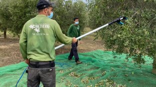 La finca està situada a Pont de Molins
