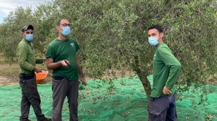 La finca està situada a Pont de Molins