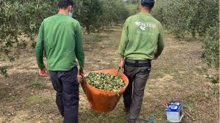 La finca està situada a Pont de Molins
