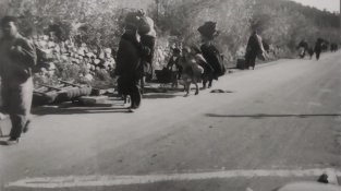 Les fotos estan fetes des del sud del municipi