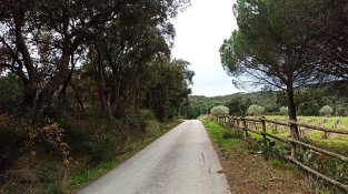 Agullana alerta d'una sèrie de furts a la zona de Prat d'Egna