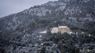 Desenes de jonquerencs s'han acostat aquest cap de setmana a Santa Llúcia