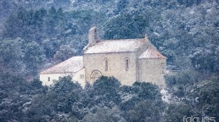 Desenes de jonquerencs s'han acostat aquest cap de setmana a Santa Llúcia