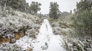 Desenes de jonquerencs s'han acostat aquest cap de setmana a Santa Llúcia