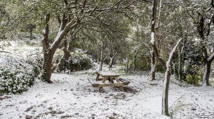 Desenes de jonquerencs s'han acostat aquest cap de setmana a Santa Llúcia