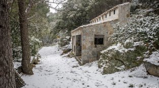 Desenes de jonquerencs s'han acostat aquest cap de setmana a Santa Llúcia