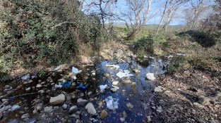 La zona està plena de plàstics i residus de tot tipus