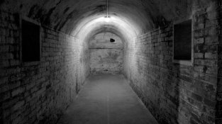 Una de les imatges de la mostra