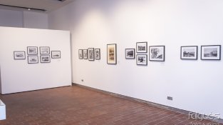 La consellera de Justícia va presidir l'acte