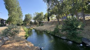 Riu Llobregat d'Emporda al seu pas per la Jonquera el passat 9 de juliol de 2021