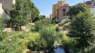 Riu Llobregat d'Emporda al seu pas per la Jonquera el passat 9 de juliol de 2021