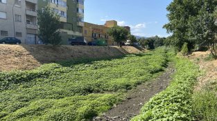 El Llobregat a la resclosa de Correus
