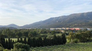 Paisatge de vinyes. Al fons, la Jonquera