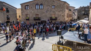 Entitats ecologistes i ajuntaments reivindiquen les energies netes però que "no trinxin el territori".