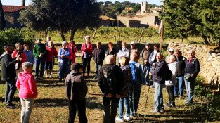 Sortida del Casal de l'Avi al celler Vinyes dels Aspres