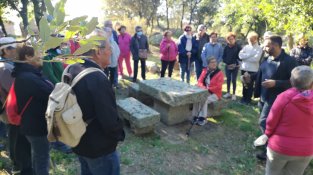 Sortida del Casal de l'Avi al celler Vinyes dels Aspres