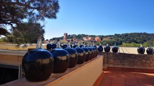 Sortida del Casal de l'Avi al celler Vinyes dels Aspres