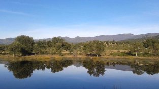 Les basses de l'Albera tenen un origen únic al món