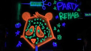La imatge de Coby 69, un ós panda