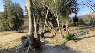 El Repte del doctor Soler de l'Estrada, en imatges