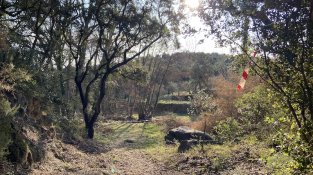 El Repte del doctor Soler de l'Estrada, en imatges