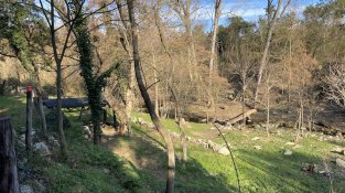 El Repte del doctor Soler de l'Estrada, en imatges