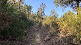 El Repte del doctor Soler de l'Estrada, en imatges