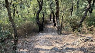 El Repte del doctor Soler de l'Estrada, en imatges