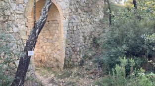 El Repte del doctor Soler de l'Estrada, en imatges